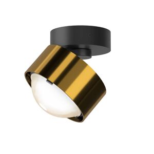 Top Light Puk! 80 Move LED bodovka čočka matná mosaz/černá
