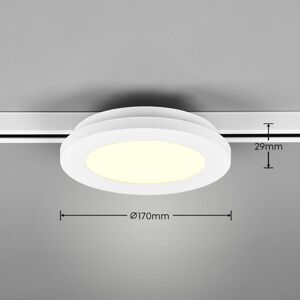 Trio Lighting LED stropní světlo Camillus DUOline, Ø 17 cm, bílá