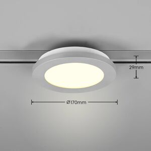 Trio Lighting LED stropní světlo Camillus DUOline, Ø 17 cm titan