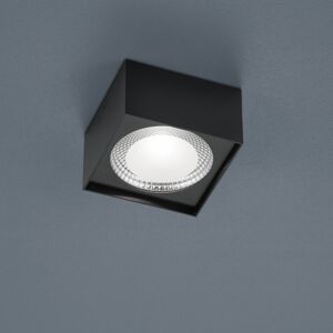 Helestra Helestra Kari LED stropní světlo, hranaté černá