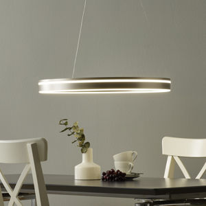 Q-Smart-Home Paul Neuhaus Q-VITO LED závěsné světlo 59cm ocel